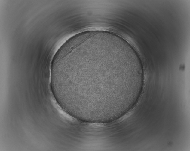 X0000112470844200909071131