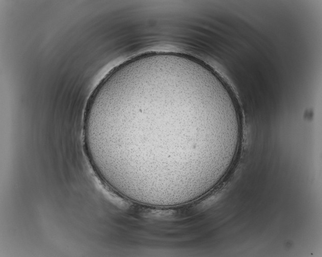 X0000112470845200909071131