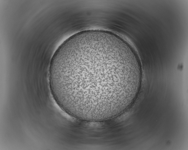 X0000112470847200909071131