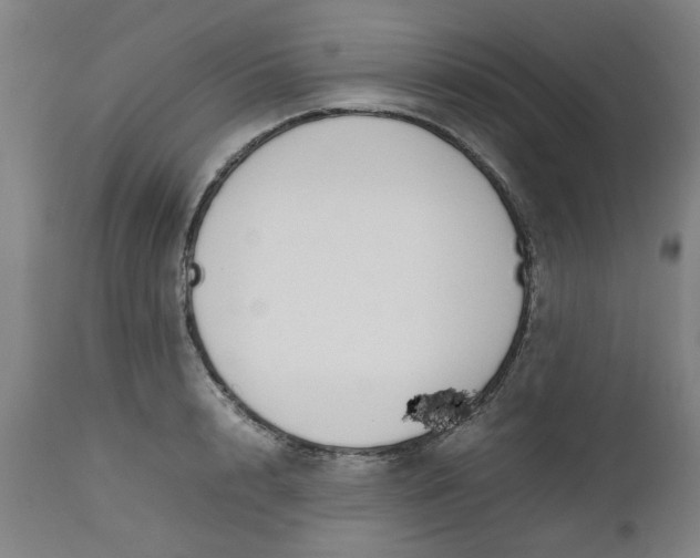 X0000112470848200909071131