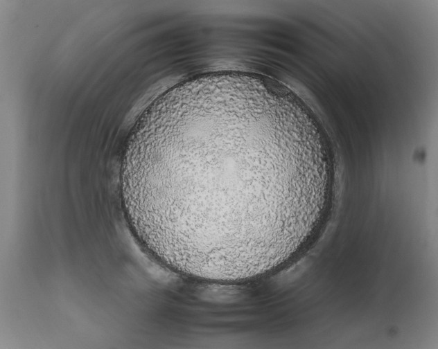 X0000112470849200909071131