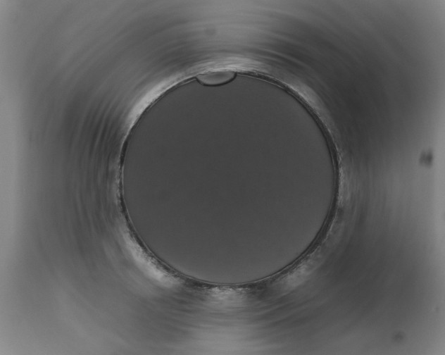 X0000112470850200909071131