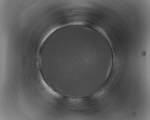 X0000112470851200909071131