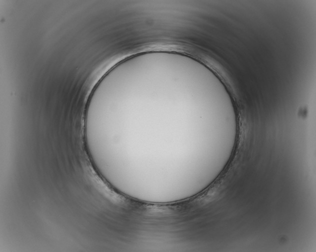 X0000112470852200909071131