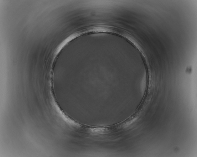 X0000112470853200909071131