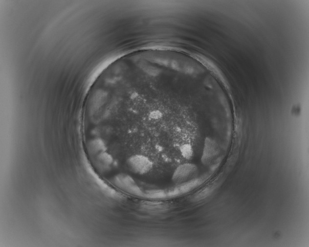 X0000112470855200909071131