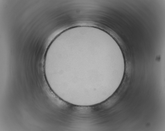 X0000112470856200909071131