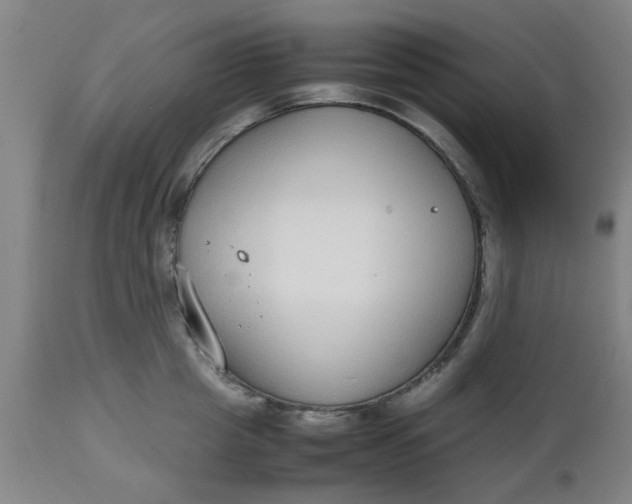 X0000112470857200909071131