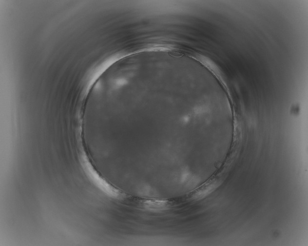 X0000112470859200909071131