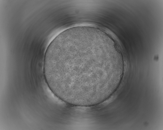 X0000112470860200909071131