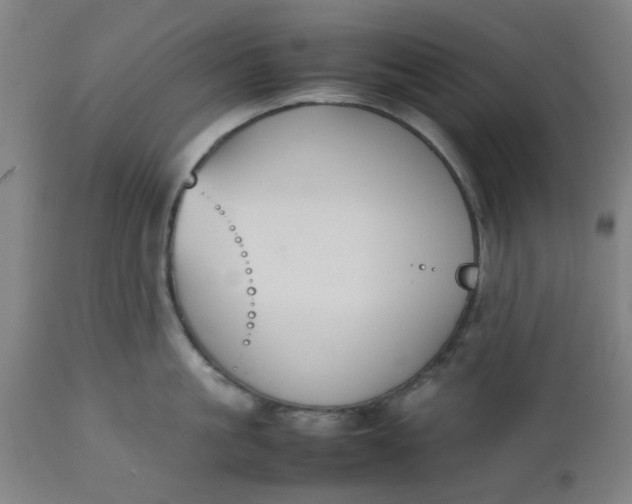 X0000112470861200909071131