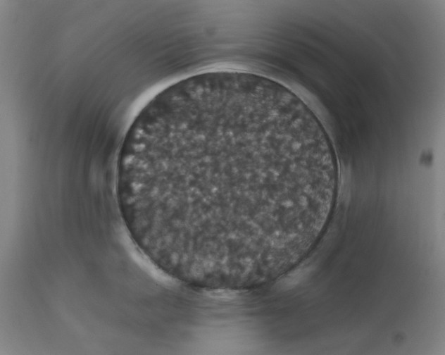 X0000112470862200909071131