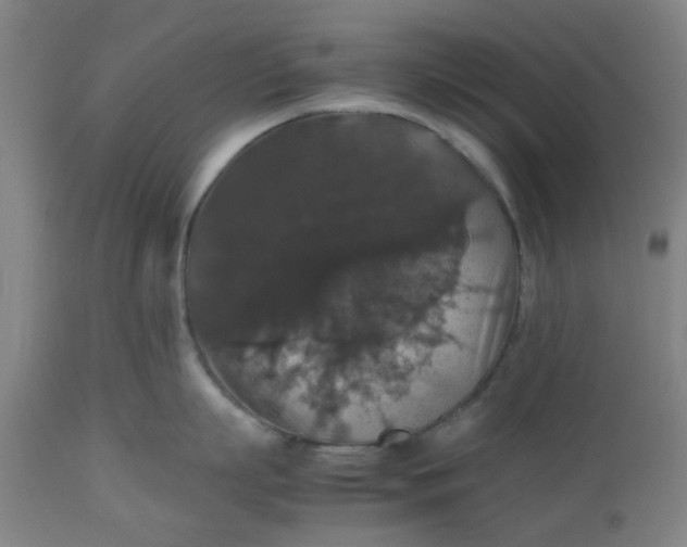 X0000112470863200909071131