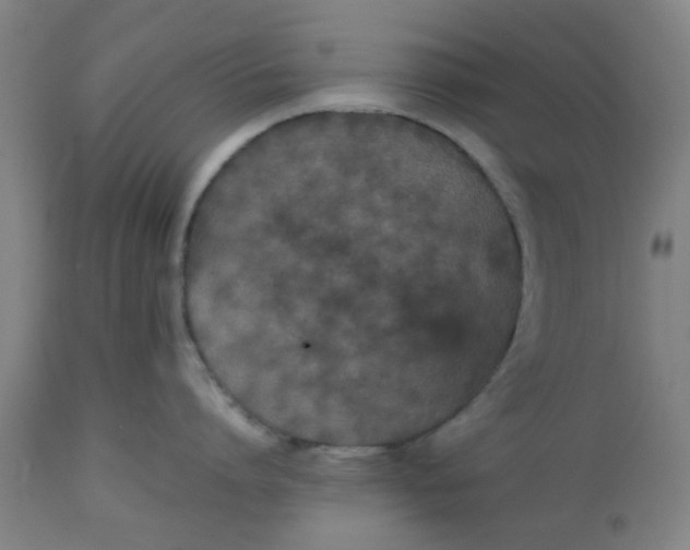 X0000112470864200909071131