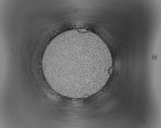 X0000112470865200909071131