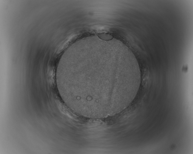 X0000112470866200909071131