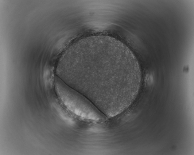 X0000112470868200909071131