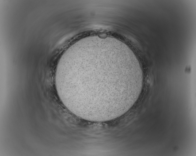 X0000112470869200909071131