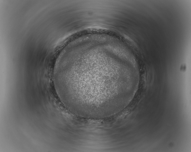 X0000112470870200909071131