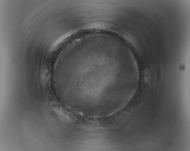 X0000112470872200909071131