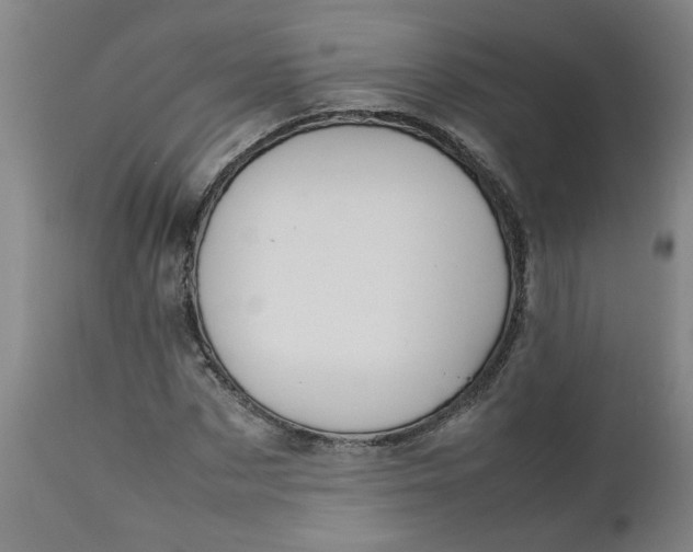 X0000112470873200909071131