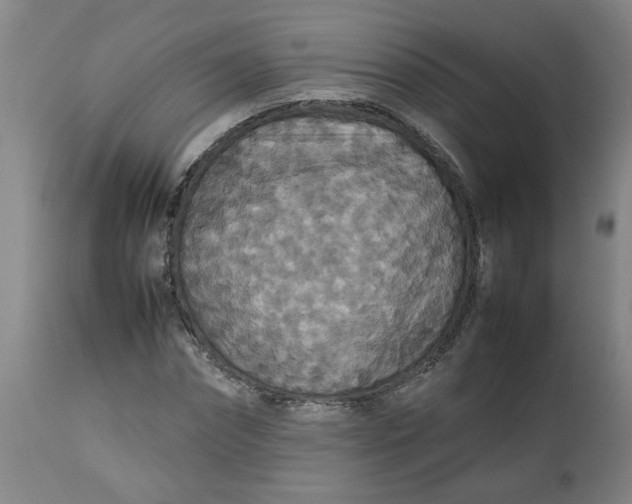 X0000112470874200909071131