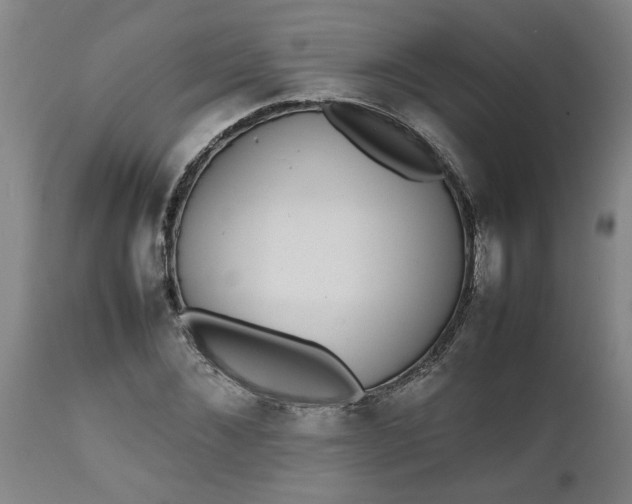 X0000112470876200909071131