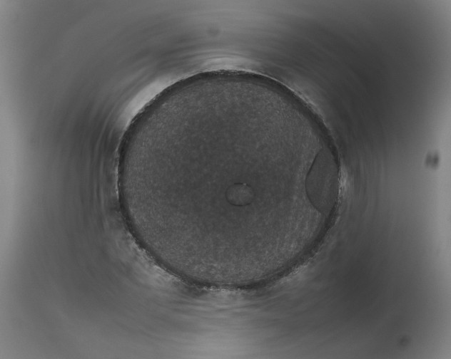 X0000112470877200909071131