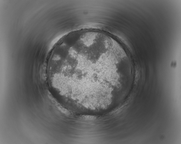 X0000112470878200909071131