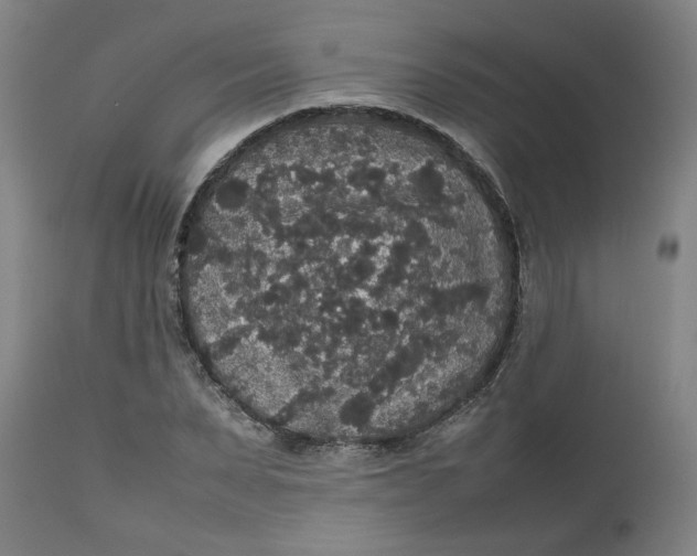 X0000112470879200909071131