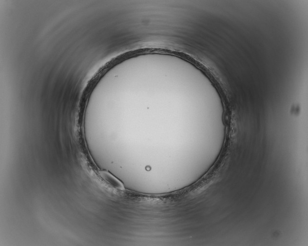 X0000112470880200909071131