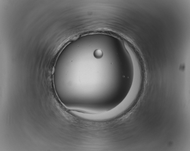 X0000112470881200909071131