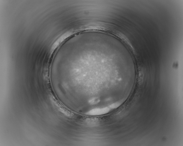 X0000112470882200909071131