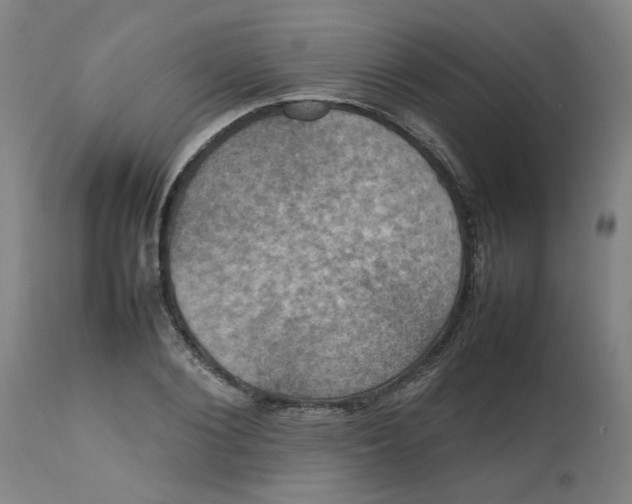 X0000112470884200909071130