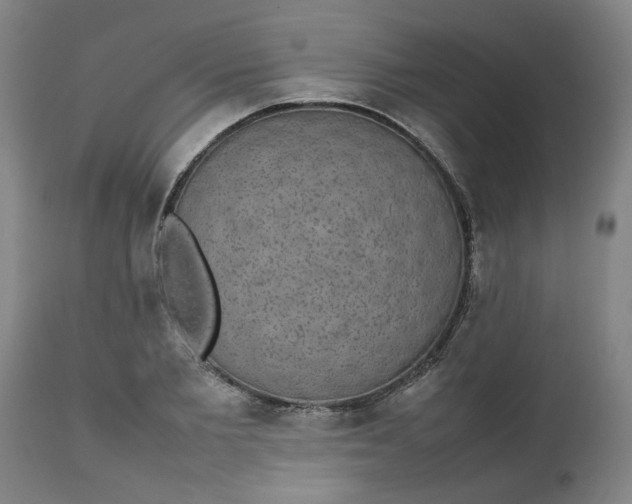 X0000112470885200909071130