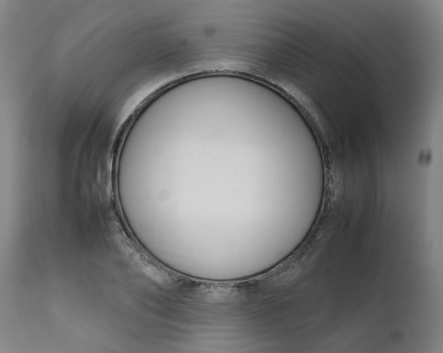 X0000112470886200909071130