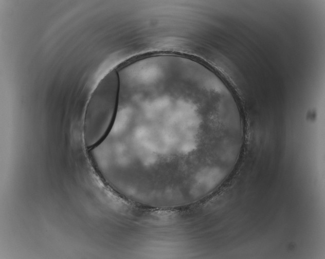 X0000112470888200909071130