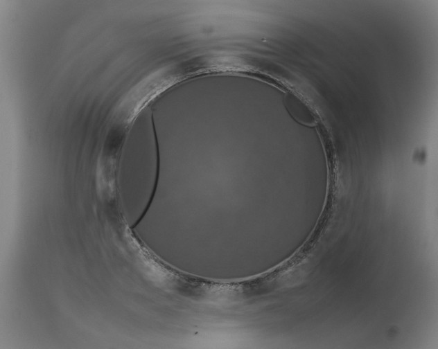 X0000112470889200909071130