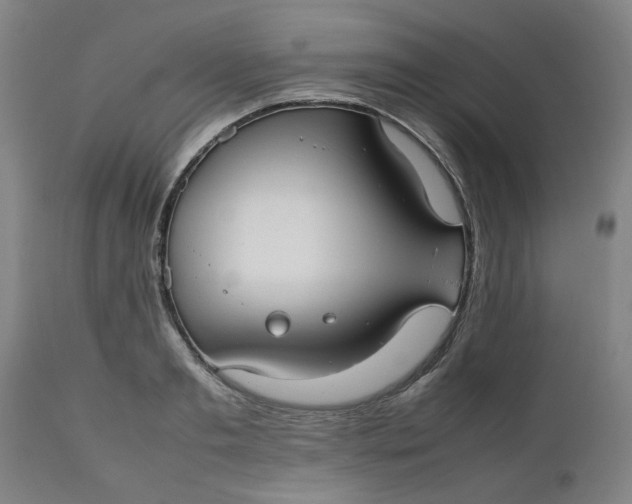 X0000112470893200909071130