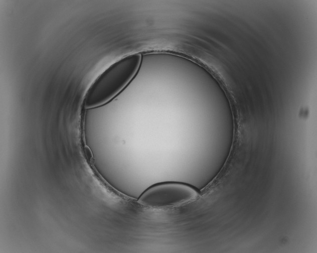 X0000112470894200909071130