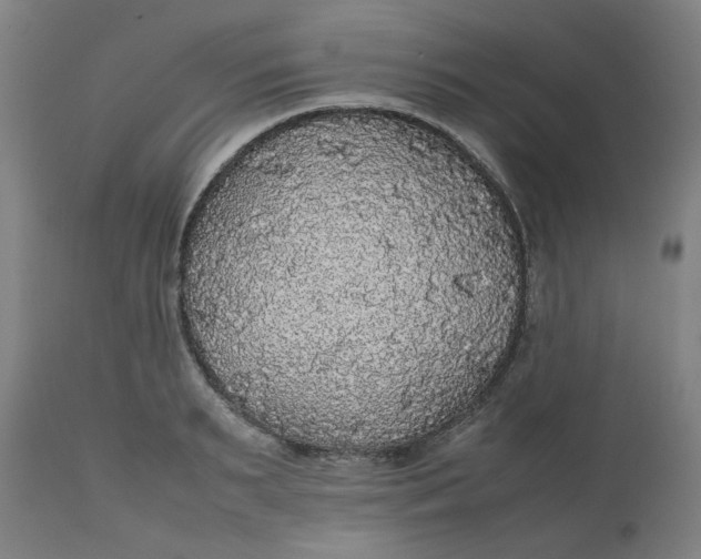 X0000112470895200909071130