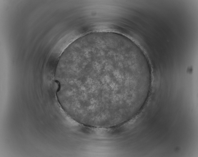 X0000112470897200909071130