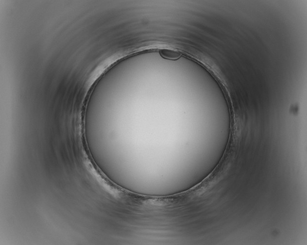 X0000112470898200909071130