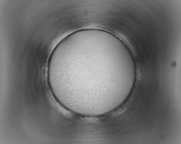 X0000112470900200909071130