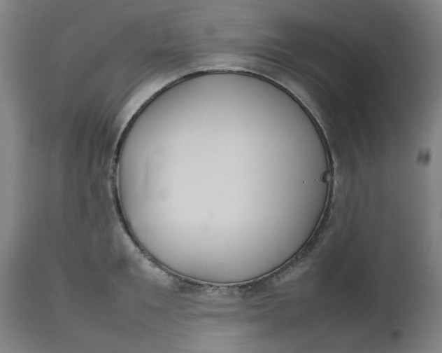 X0000112470901200909071130