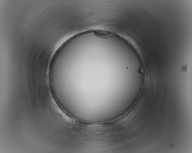 X0000112470902200909071130