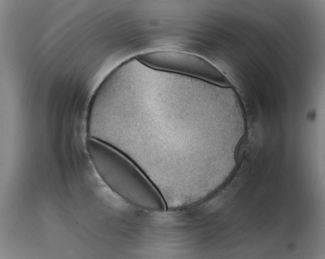 X0000112470904200909071130