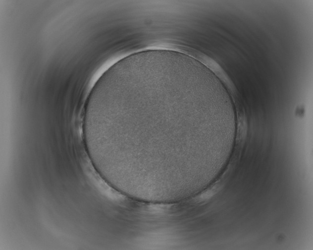 X0000112470908200909071130