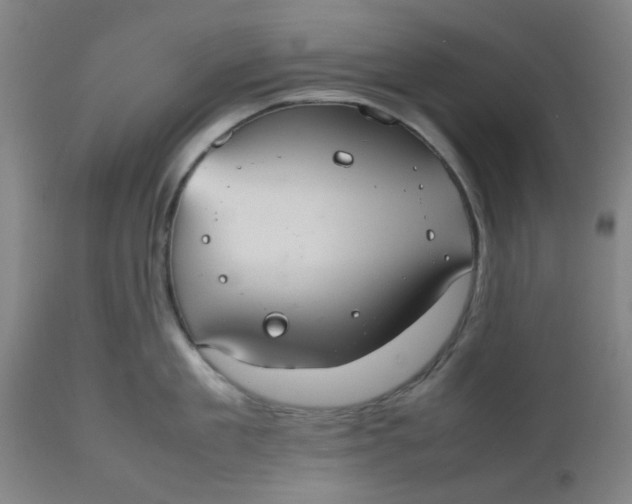 X0000112470909200909071130