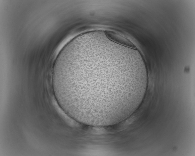 X0000112470911200909071130